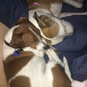 Meet your Posher, Thomas